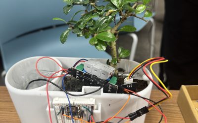 Adult Build Night August 2026